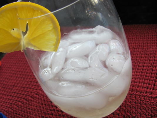 st. germain gin tonic