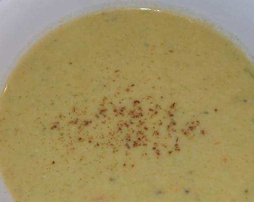 soupe végétarienne de poireaux