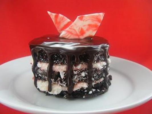 mini gâteaux au chocolat noir fondant à la menthe poivrée