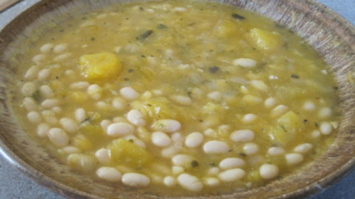 soupe aux haricots blancs et à la citrouille (légumes)