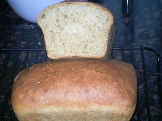 croûte croustillante pain de sablé au blé sans pétrir