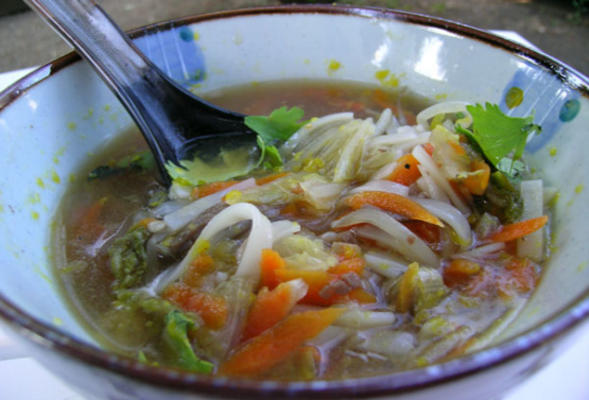 Soupe udon au porc et au gingembre simplifiée