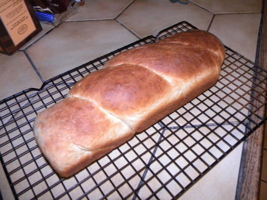 pain blanc riche pour le robot culinaire - levure à levée rapide