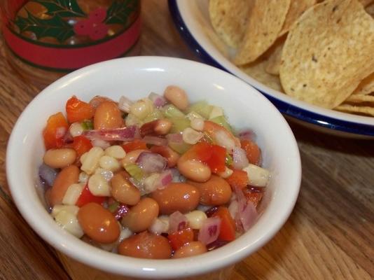 salsa aux haricots
