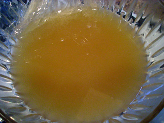 lait caillé au citron (végétalien)