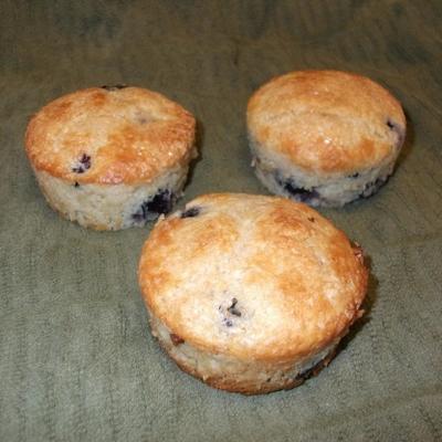 muffins aux bleuets plus sains