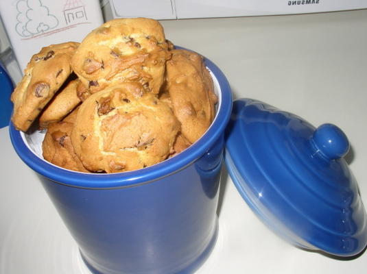 biscuits aux pépites de chocolat faibles en gras (produits laitiers casher)
