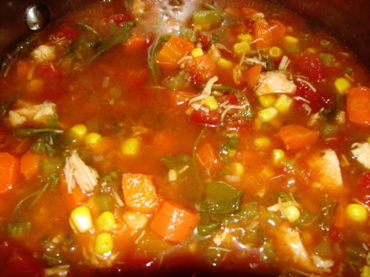 bouchée de soupe aux légumes et au poulet