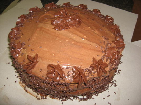 gâteau au kahlua au chocolat de Scott