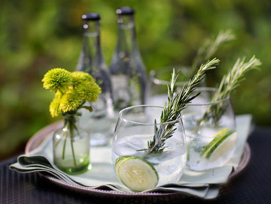 gin tonic et concombre-romarin